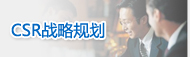CSRսԹ滮